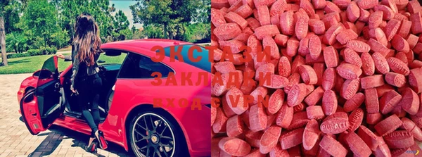 хмурый Алексеевка